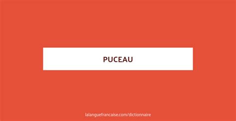 puceaux definition|Définition de puceau .